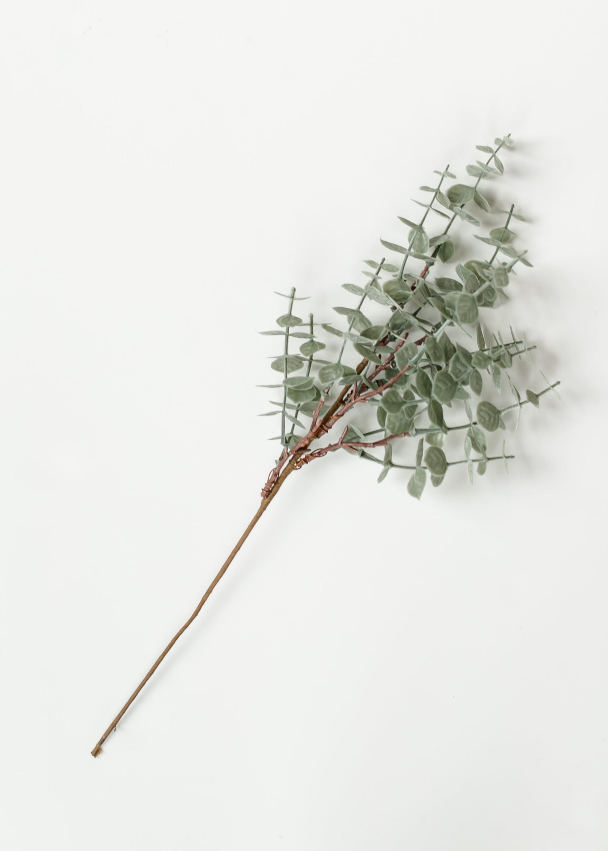 Eucalyptus Stem Light Green 18" Gifts