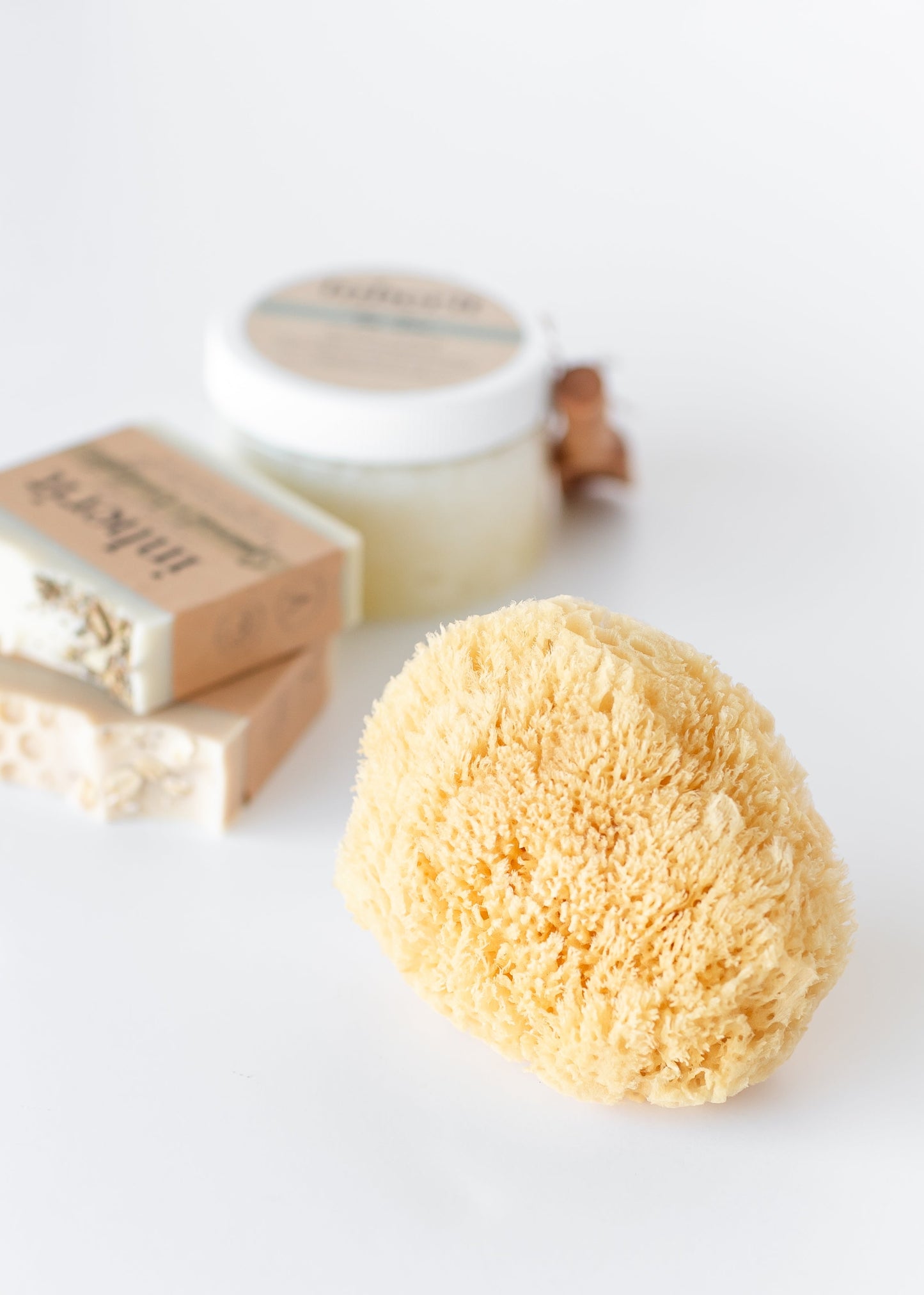 Wool Sea Sponge Gifts