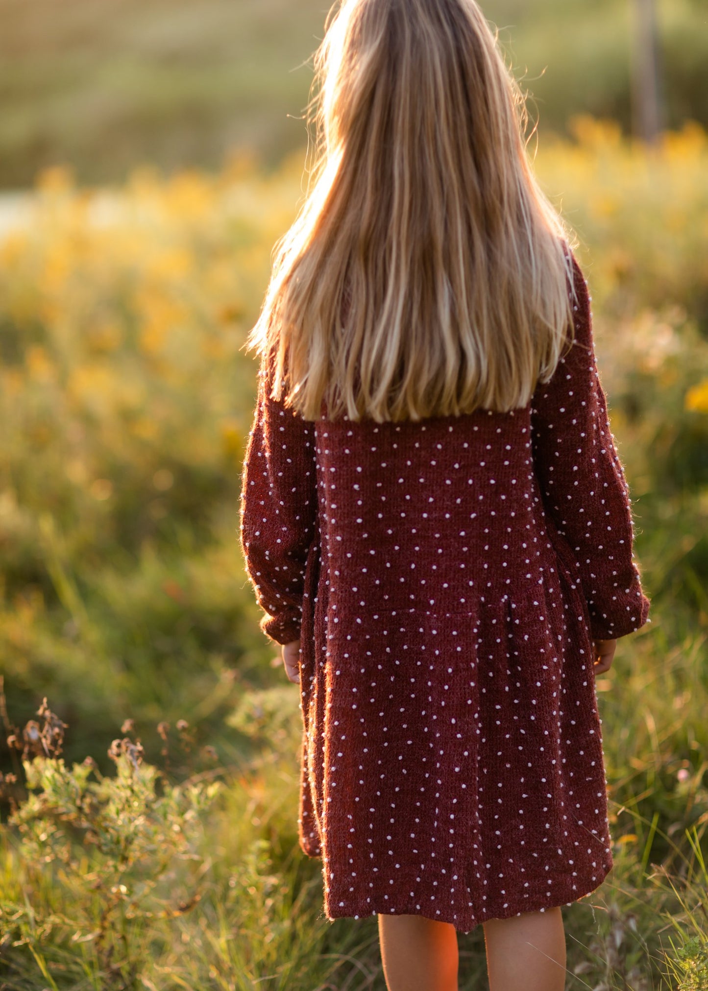 Girls Burgundy Swiss Dot Sweater Dress Girls Hayden Los Angeles