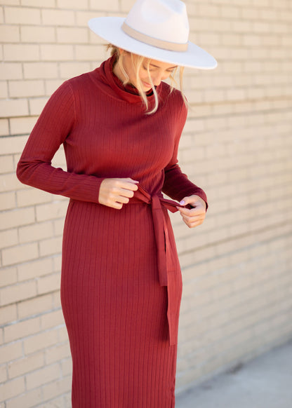 Rust Turtle Neck Knit Midi Dress Dresses