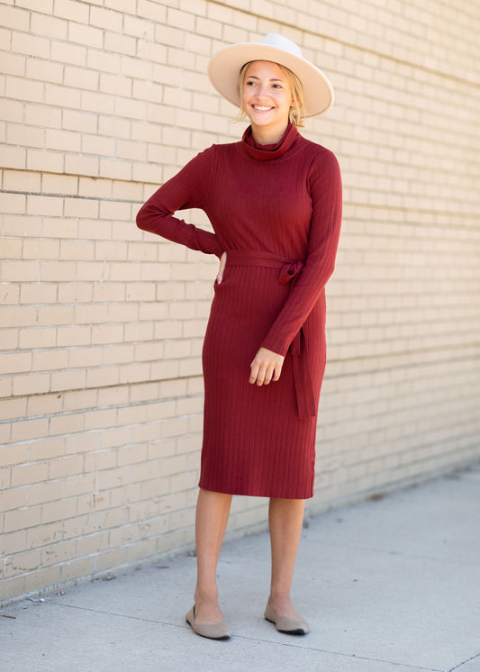 Rust Turtle Neck Knit Midi Dress Dresses